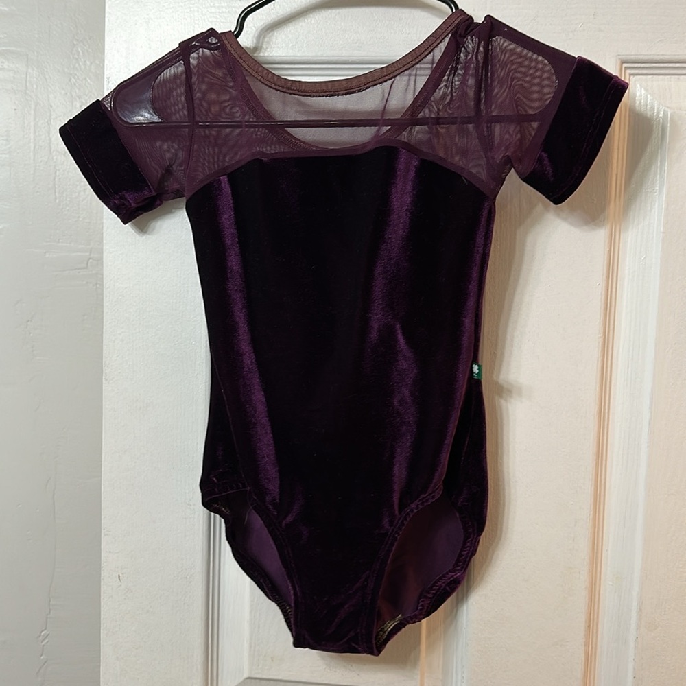 Velvet Purple Lucky Leo with cap sleeves size Small🦄🔮